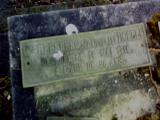 image of grave number 384251